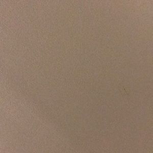 Meet your Posher, Anesha